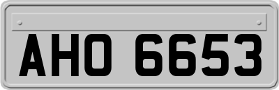 AHO6653