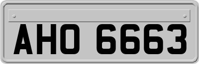 AHO6663