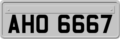 AHO6667