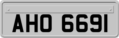 AHO6691