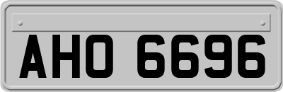 AHO6696