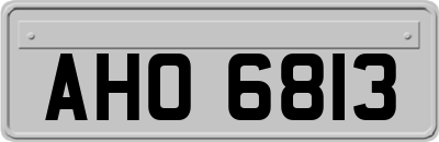 AHO6813