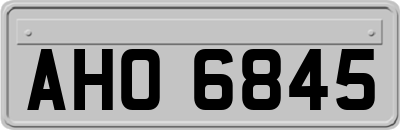 AHO6845