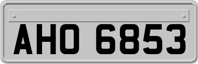 AHO6853