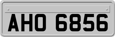 AHO6856