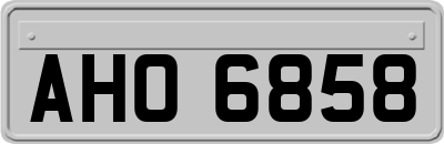 AHO6858