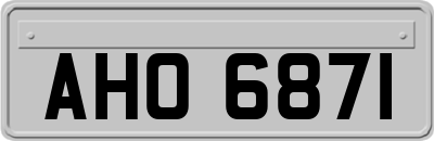 AHO6871