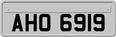AHO6919