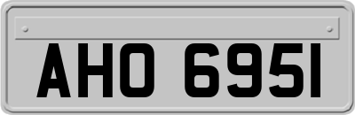 AHO6951