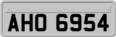 AHO6954