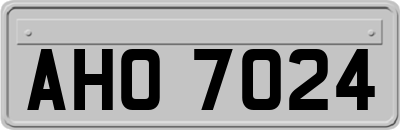 AHO7024