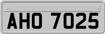 AHO7025