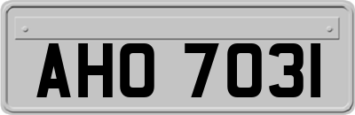 AHO7031