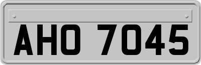 AHO7045