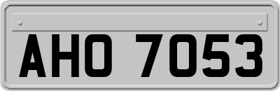 AHO7053