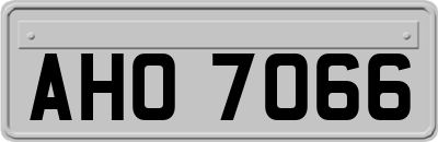 AHO7066