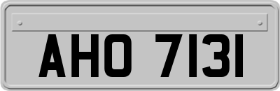 AHO7131
