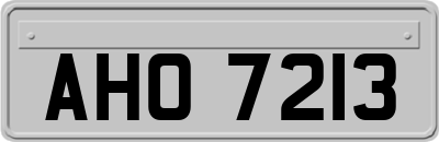AHO7213