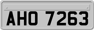 AHO7263