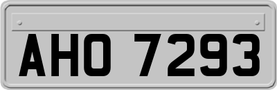 AHO7293