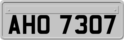 AHO7307