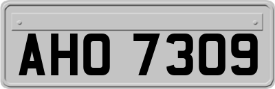 AHO7309