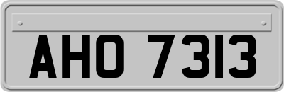 AHO7313