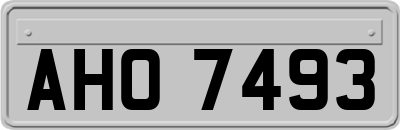 AHO7493
