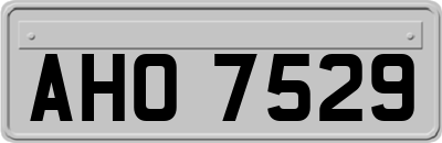 AHO7529
