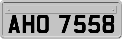 AHO7558