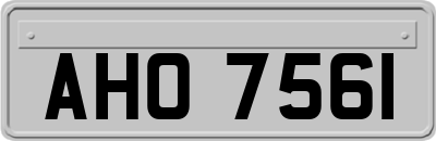 AHO7561
