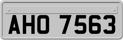 AHO7563