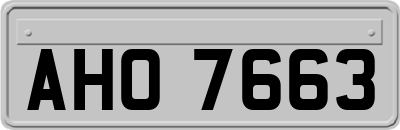 AHO7663