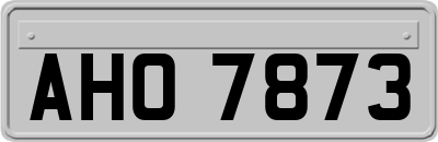 AHO7873