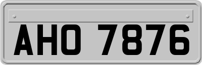 AHO7876