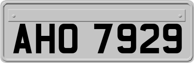 AHO7929