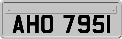 AHO7951