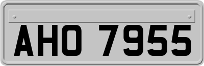 AHO7955
