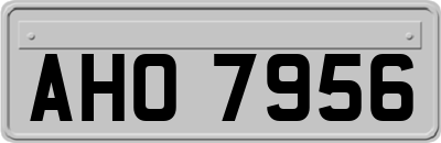 AHO7956