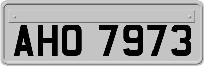 AHO7973