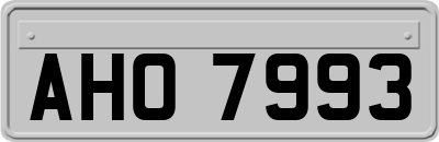 AHO7993