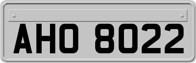 AHO8022
