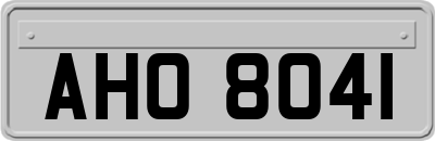 AHO8041