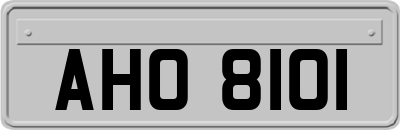 AHO8101