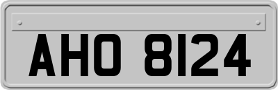 AHO8124