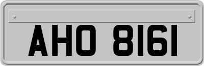 AHO8161