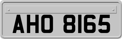 AHO8165