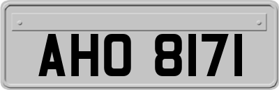 AHO8171