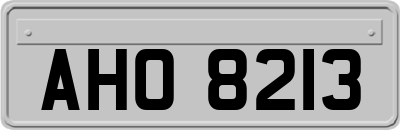 AHO8213