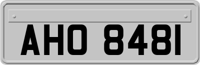 AHO8481